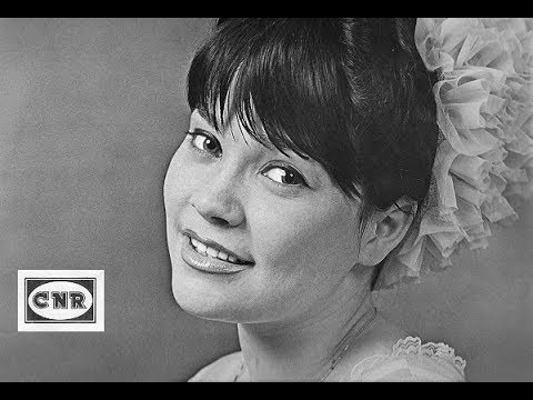 Suzie - Du, du gehst vorüber ( + nieuwsbericht ) ( 1966 )