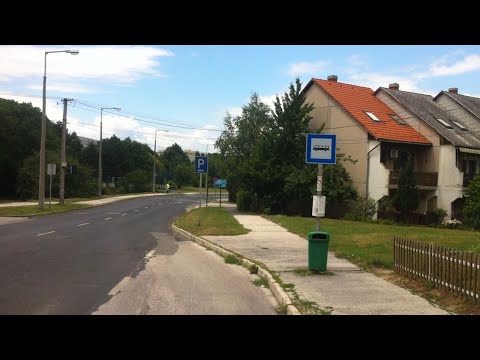 Veszprém 8-as járat; Pápai úti forduló - Haszkovó forduló