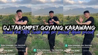 Download lagu DJ GOYANG KARAWANG [TAROMPET] SOUND VIRAL TIKTOK SUNDA PRIDE mp3