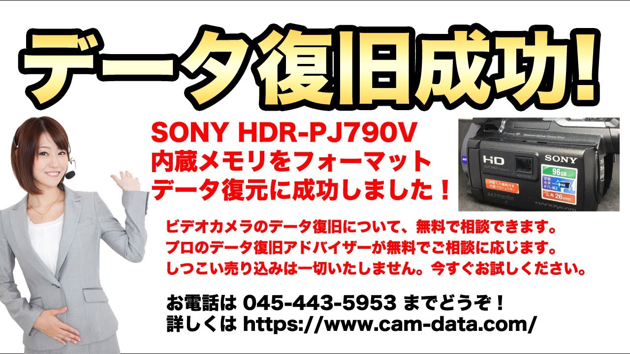 内蔵メモリをフォーマットした】SONYハンディカムHDR-PJ790V | ビデオ