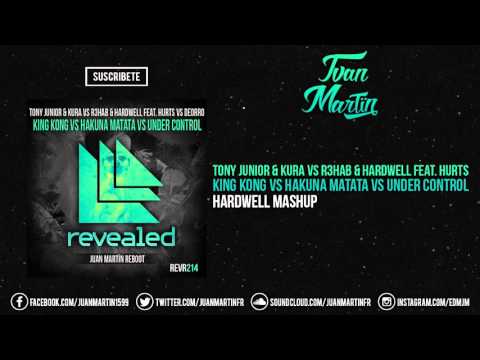 King Kong vs Hakuna Matata vs Under Control (Hardwell Mashup)