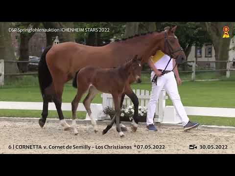 KN 6: SF v. Cornet de Semilly x Los Christianos