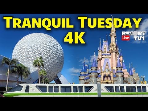 🔴4K Live: Tranquil Tuesday - Monorail Park Hopping - Magic Kingdom & Epcot - Walt Disney World