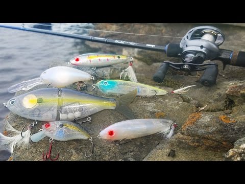 Fishing for bass with electronic lures