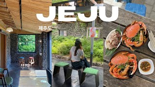 3 DAYS IN JEJU KOREA 🦀 🍶 cafe hopping, what i ate, alpaca ranch (EP 1)
