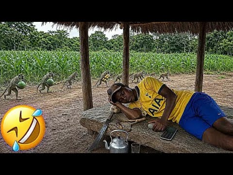 Try Not to Laugh Challenge 2026 😂 Most Viral Videos Of The Year & Memes You Can’t Resist | VOL 27 ▶️