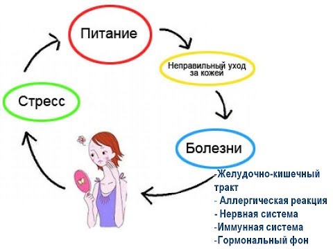 Сыпь при различных заболеваниях. Как ее распознать?