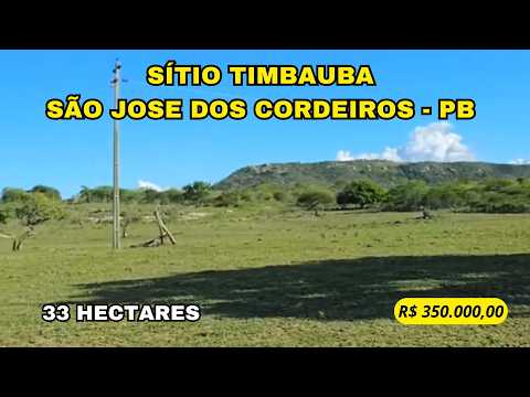 🌿 SÍTIO TIMBAÚBA – ÁGUA, ÁREA AGRICULTÁVEL E PRODUÇÃO NO CARIRI PARAIBANO 🌿
