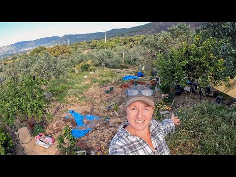 A Land Tour of My Half Acre Off Grid Property in Portugal - Part 1