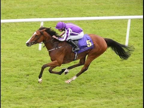 Aidan O'Brien on Longines Irish Champions weekend