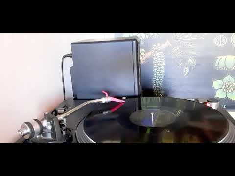 Tasha Holiday- "just one night"