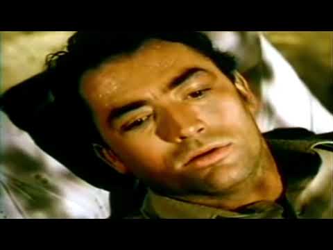 Tabac Carton - Momento