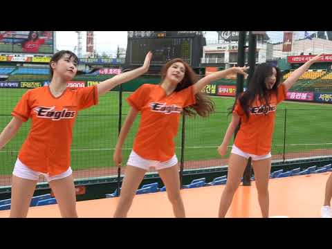 한화이글스 치어리더 공연 뚜두뚜두 180902