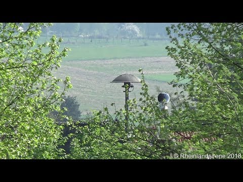 E57-Sirene auf historischer Hofanlage  - Sirenenprobe Königswinter-Wahlfeld