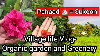 Village life vlog - Organic Garden and Greenery| Colours of life. 