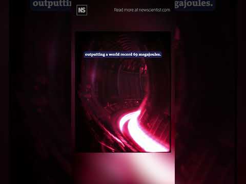 UK nuclear fusion reactor sets new world record for energy output ⚡️💡