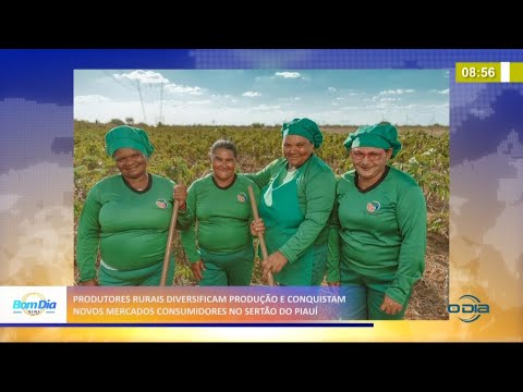 Produtoras rurais diversificam produção e conquistam mercados do sertão do Piauí 09 03 2021