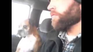 Don''t you ever touch me again, human!