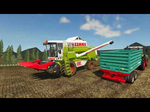 UTH19 - Sunflower Harvest - Pig Feeding on Small Farm