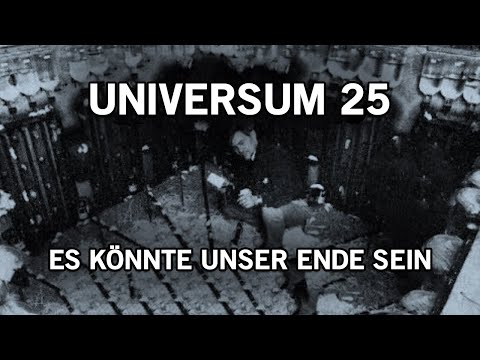 Das verstörende Experiment “Universe 25”!