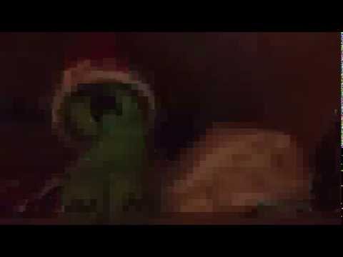 Jacob650's Syngende nisse lue del-1