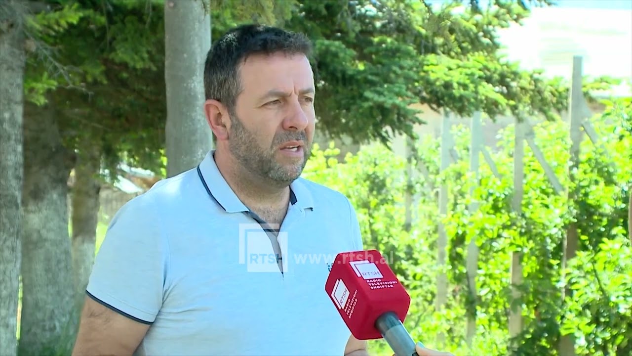 Ngricat e majit dëmtojnë drufrutorët, specialistët: Fermerët të mos ndërpresin trajtimet