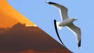 Barclay James Harvest   Jonathan   lyrics   YouTube