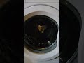 Beko Wkb 51001M Vibration During Spin Cycle Zanussi Wash 2010 LGWäsche