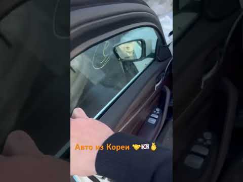 BMW 3