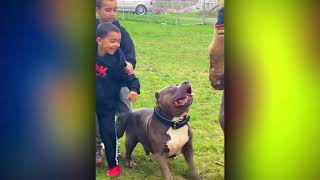 Hero Animals That Saved Human Lives !