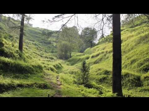 The Great Way (3rd Chinese Patriarch)