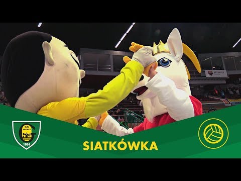 PlusLiga: GKS Katowice - ZAKSA Kędzierzyn-Koźle [KULISY] 22.11.2017