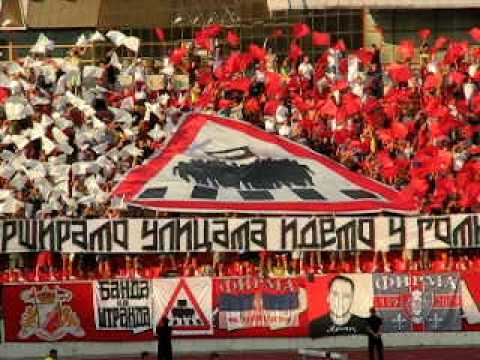 Vojvodina - Metalac (GM) 1:0 22.08.2009.