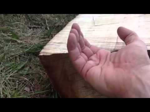 Quarter Sawing Logs into Boards--First Cant