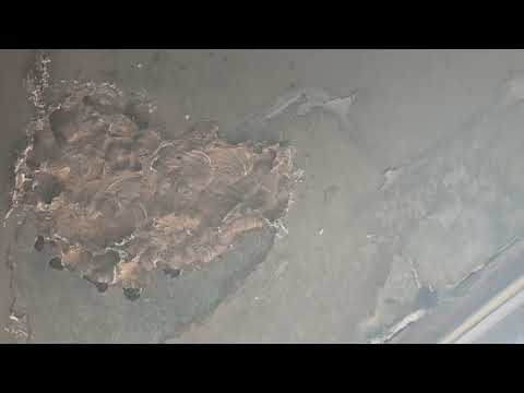 Yellow Jackets Love the Garage in Metuchen, NJ