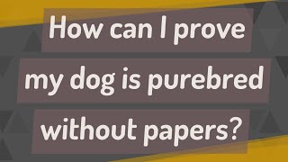 How can I prove my dog is purebred without papers?