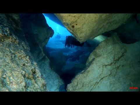 Duikclub Barracuda - Window 2