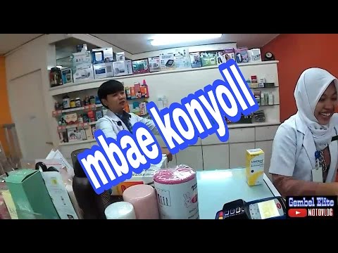 Obat untuk meningkatkan potensi dan harga Kenari dinding potensi
