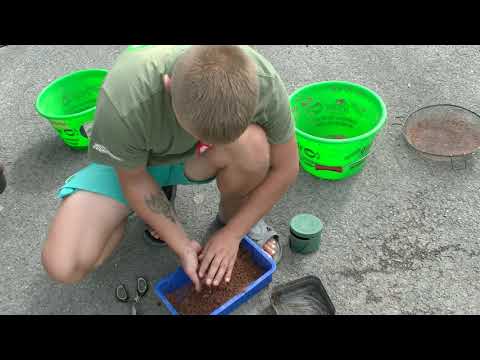 Poczciwy Spławik i "WSPANIAŁA" Tyczka