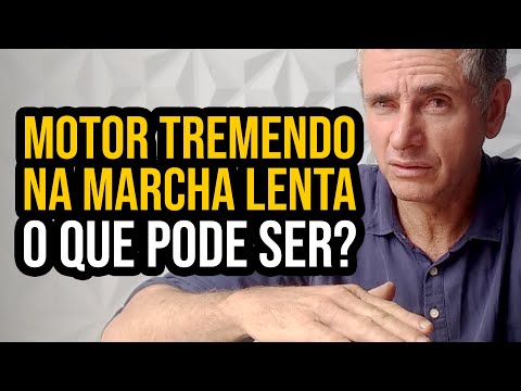 Motor tremendo na marcha lenta | O que pode ser?