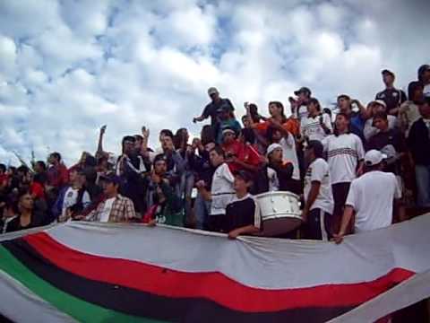 "Vamos Mineros pongan más webo" Barra: Los Sin Nombre &bull; Club: Lota Schwager