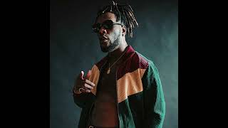 Burna Boy - Rock Your Body