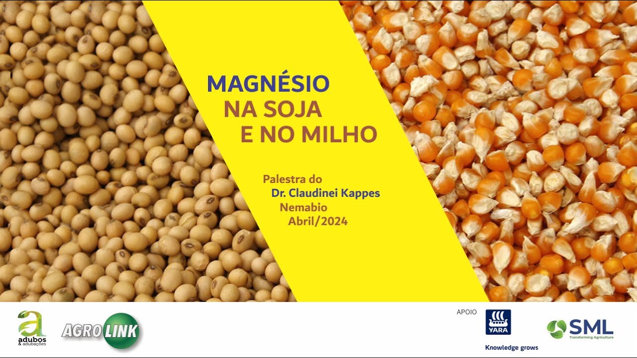 # 289 - MAGNÉSIO EM SOJA E MILHO