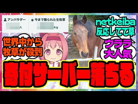 『あまりにも海外からの寄付者が多すぎてサーバーダウンしてしまった生牧草バンクのハルウララ』に対するみんなの反応集 まとめ ウマ娘プリティーダービー レイミン