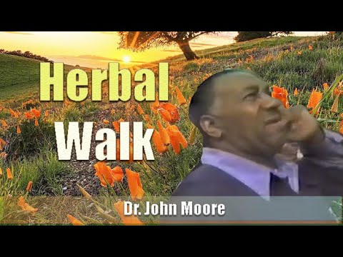 Dr. John Moore | Herbal Walk