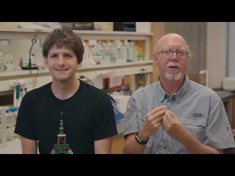 CACM Oct. 2019 - "Final Protein Design by Provable Algorithms"