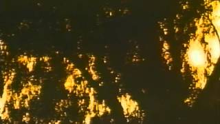 Lake Consequence Trailer 1992
