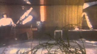 JANE LA ONDA - Je te plumerai le bec