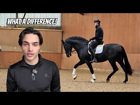 Riding My Young Stallion for the Second Time, a Special Delivery + the Start of the Stable Installs