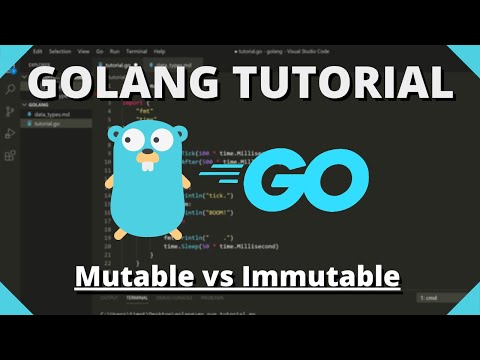 Golang Tutorial 18 Mutable Immutable Data Types